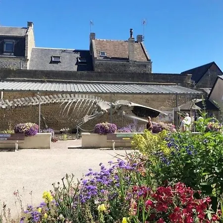 Appartamento Escape With Sea View Ideal Location Luc-sur-Mer